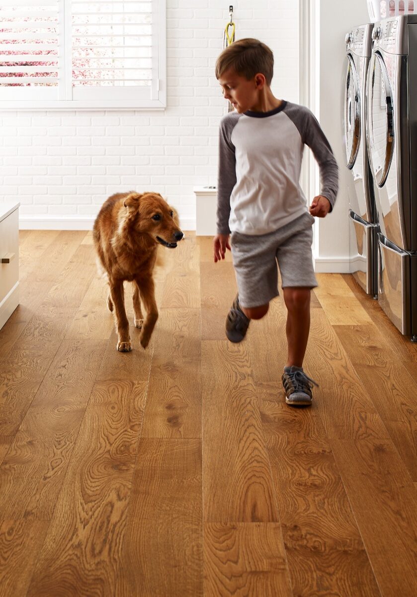 Dog running with kid on carpet | Sheridan Floor to Ceiling